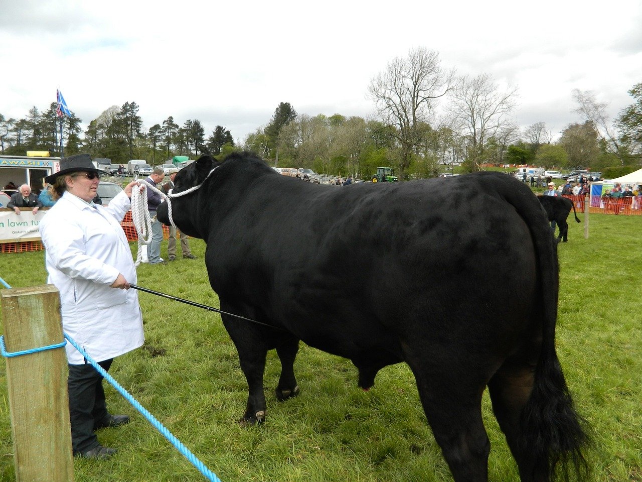 Spotlight on The Lincolnshire Show